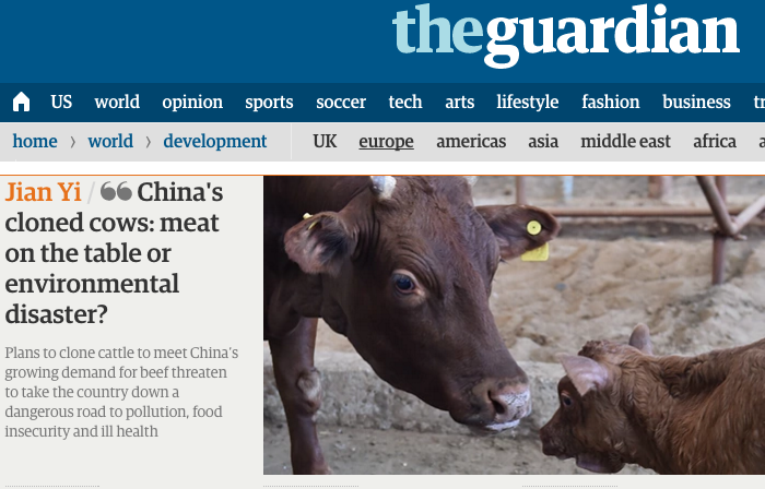 The Guardian: China's Cloned Cows