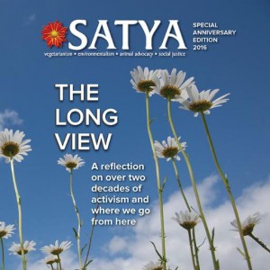 satya_the_long_view_cover