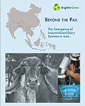 Industrialized Dairy in Asia