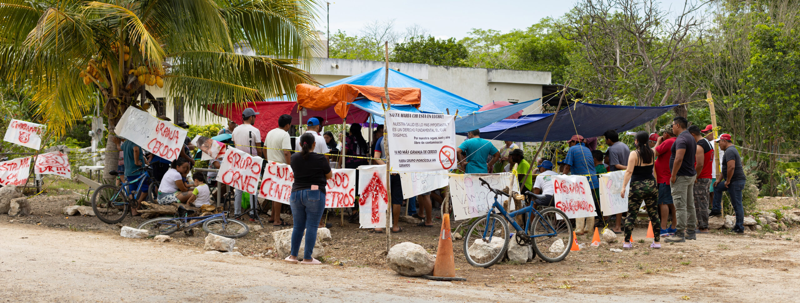 Truth Matters: The Animals and Biodiversity Reporting Fund