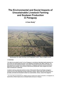 Soybean Production in Paraguay